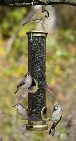 Quick Clean Seed Tube Feeder