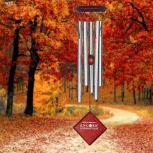 Load image into Gallery viewer, Chimes of Mercury™ - Silver

