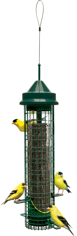 Finch Squirrel Buster Bird Feeder