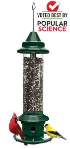 Squirrel Buster Plus Bird Feeder