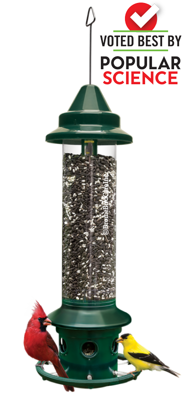 Squirrel Buster Plus Bird Feeder