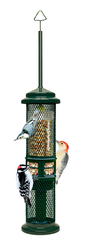 Peanut Squirrel Buster Bird Feeder