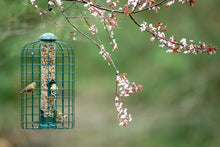 Load image into Gallery viewer, Squirrel-X Squirrel Resistant Caged Bird Feeder
