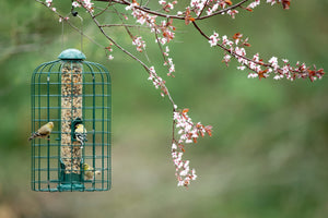 Squirrel-X Squirrel Resistant Caged Bird Feeder