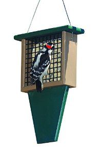 Suet Feeder With Tail Prop