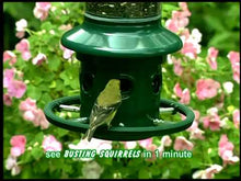 Load and play video in Gallery viewer, Squirrel Buster Plus Bird Feeder
