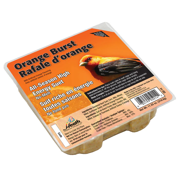 Orange Burst Suet Cake