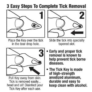 Original Tick Key