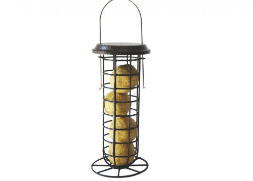 Suet Plus Suet Ball Feeder Combo Pack