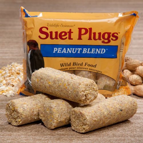 Suet Plugs - Peanut Blend